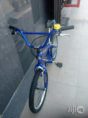 Phoenix Children Bicycle 20 Inches
