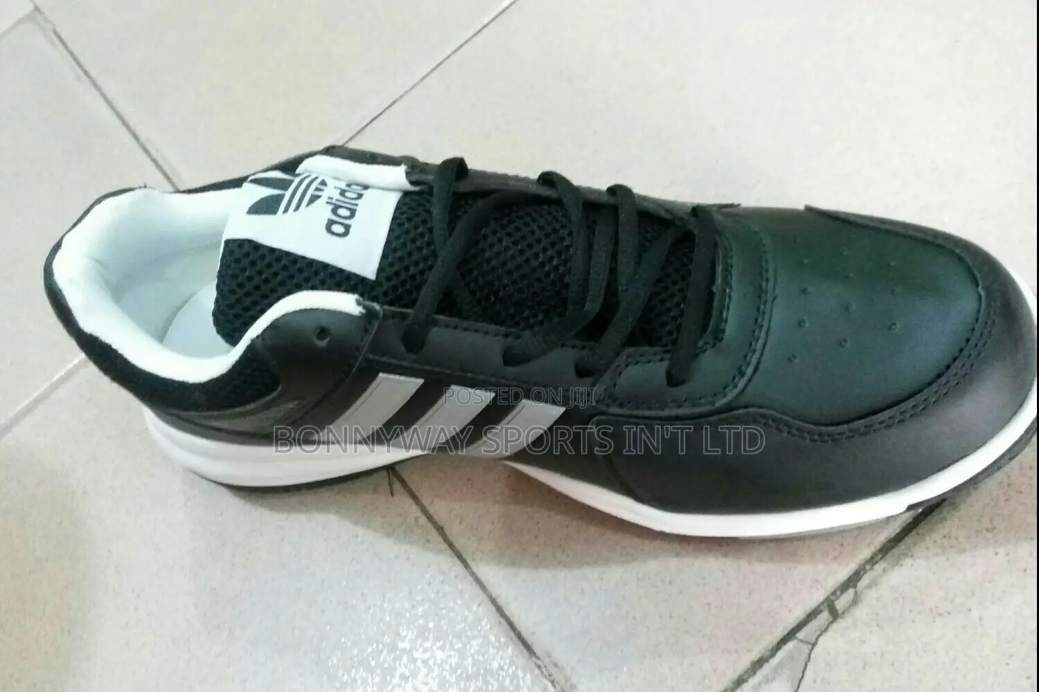 Adidas Canvas