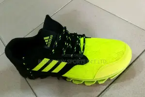 Adidas Canvas