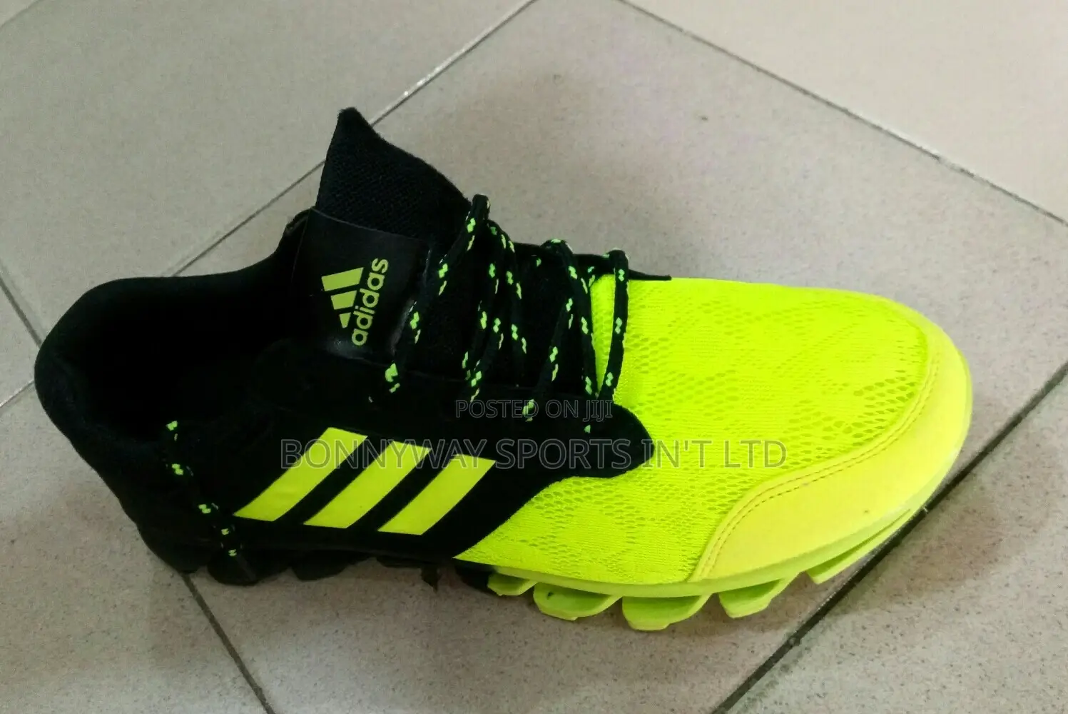 Adidas Canvas