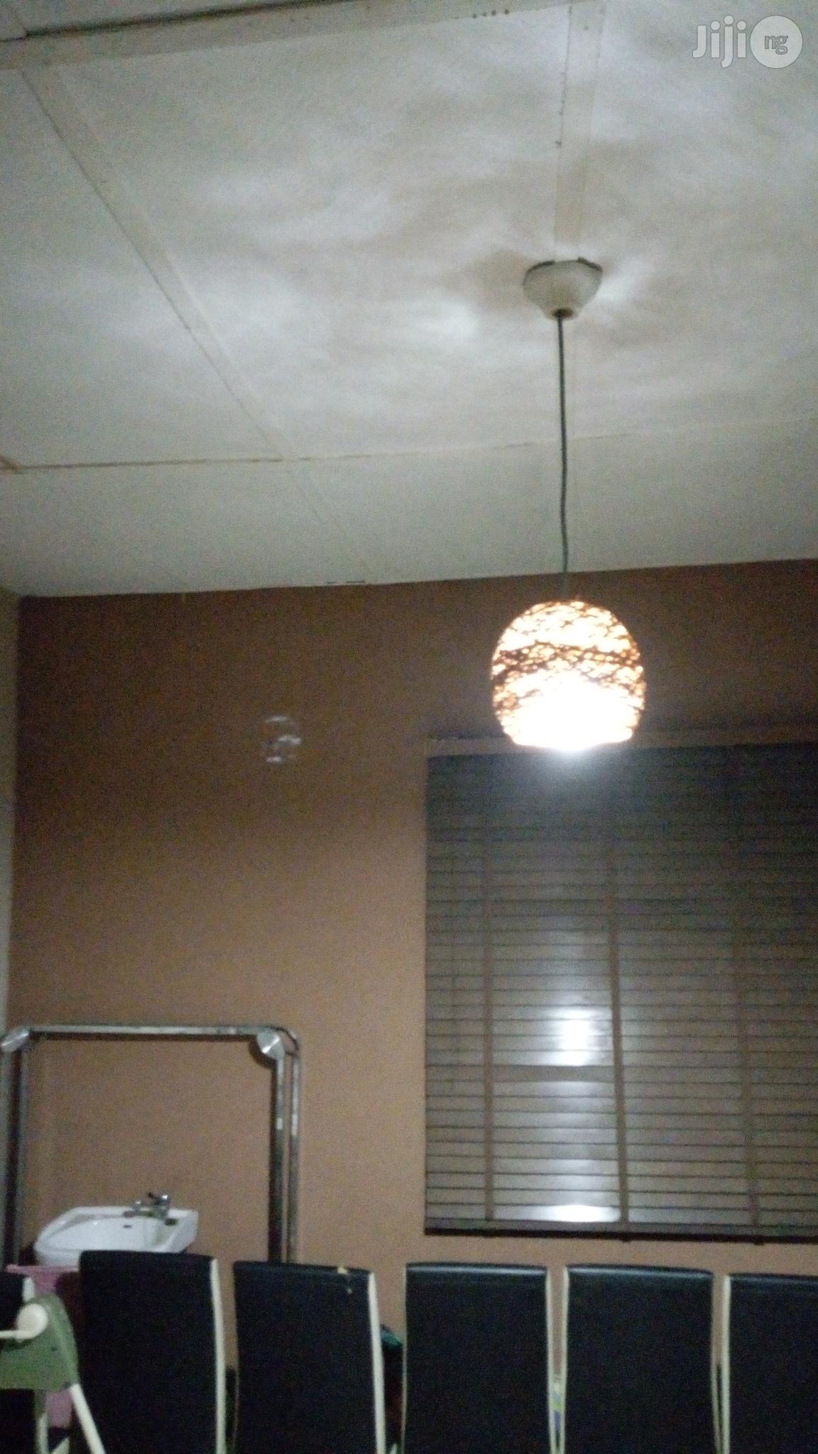 Unique Handcraft Pendent Light Is Available