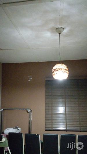 Unique Handcraft Pendent Light Is Available