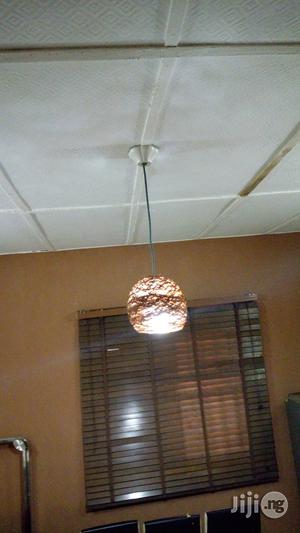 Unique Handcraft Pendent Light Is Available