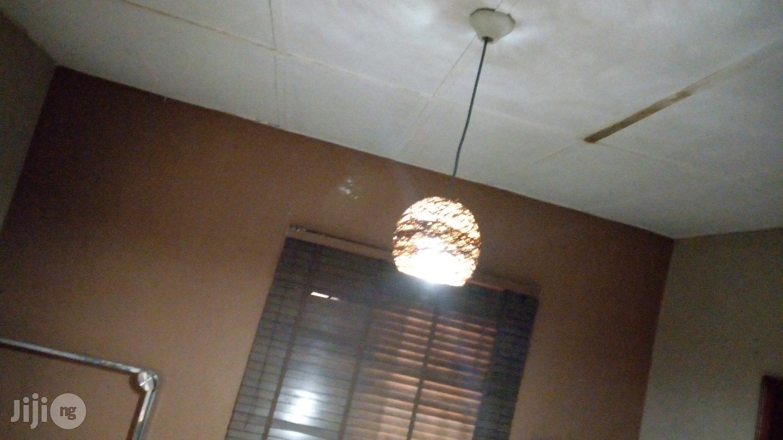 Unique Handcraft Pendent Light Is Available