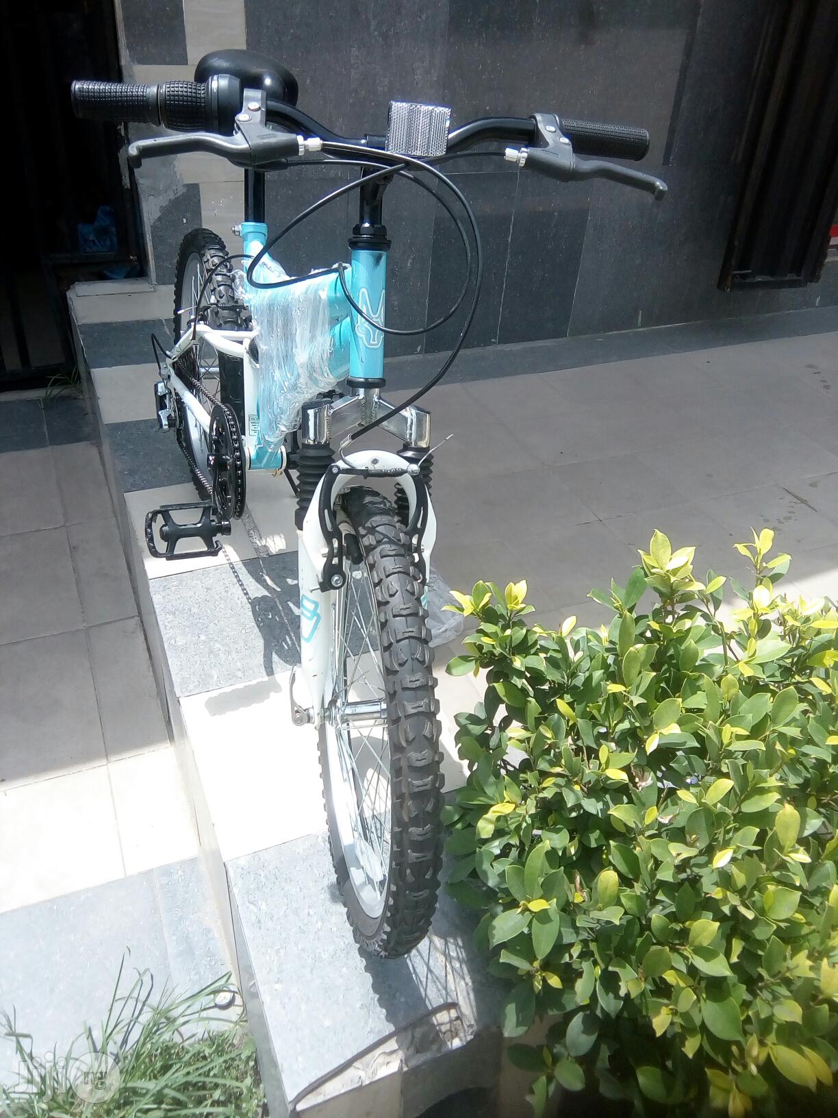Silverfox Children Bicycle 20 Inches
