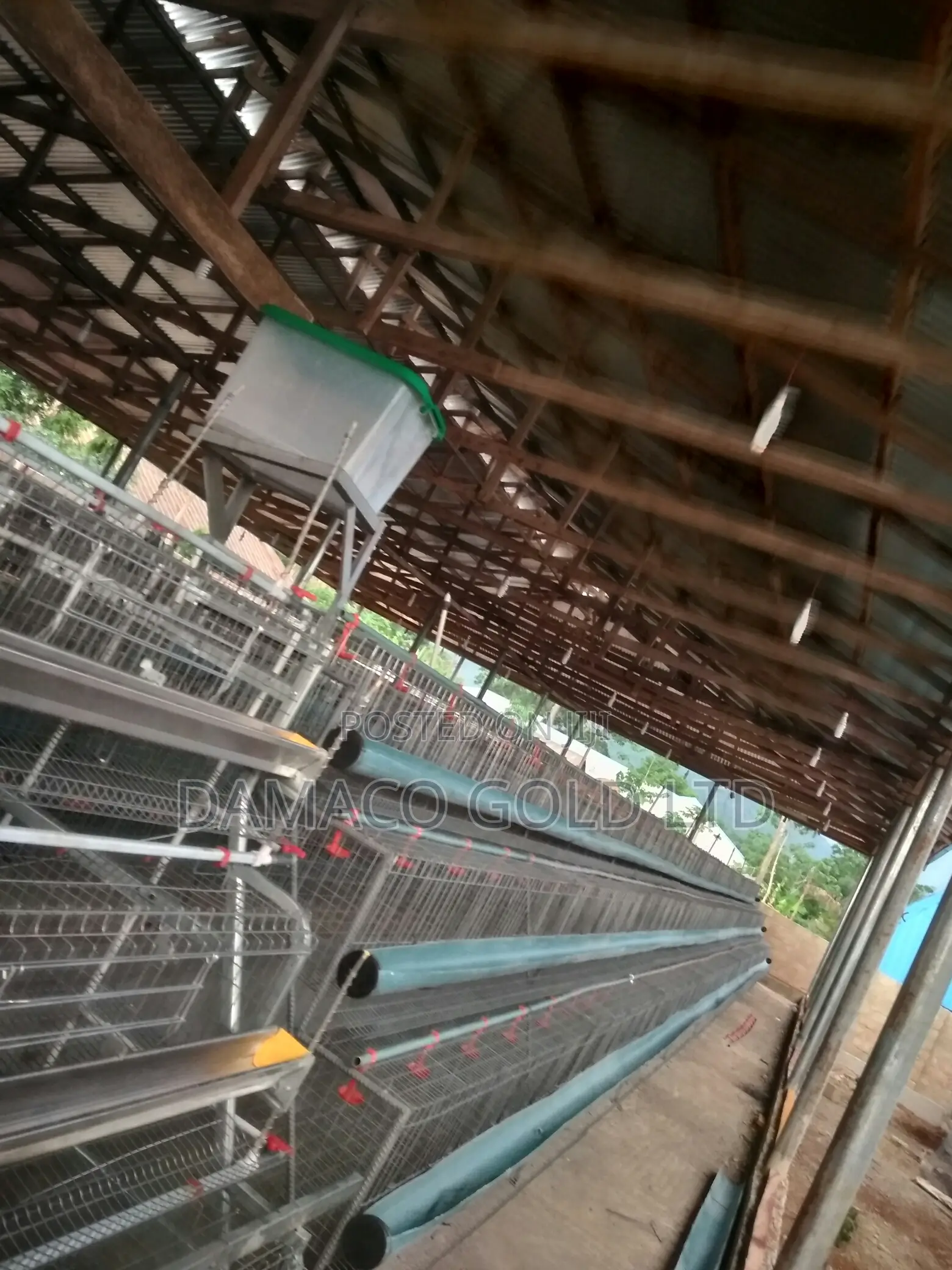Quality Battery Cage