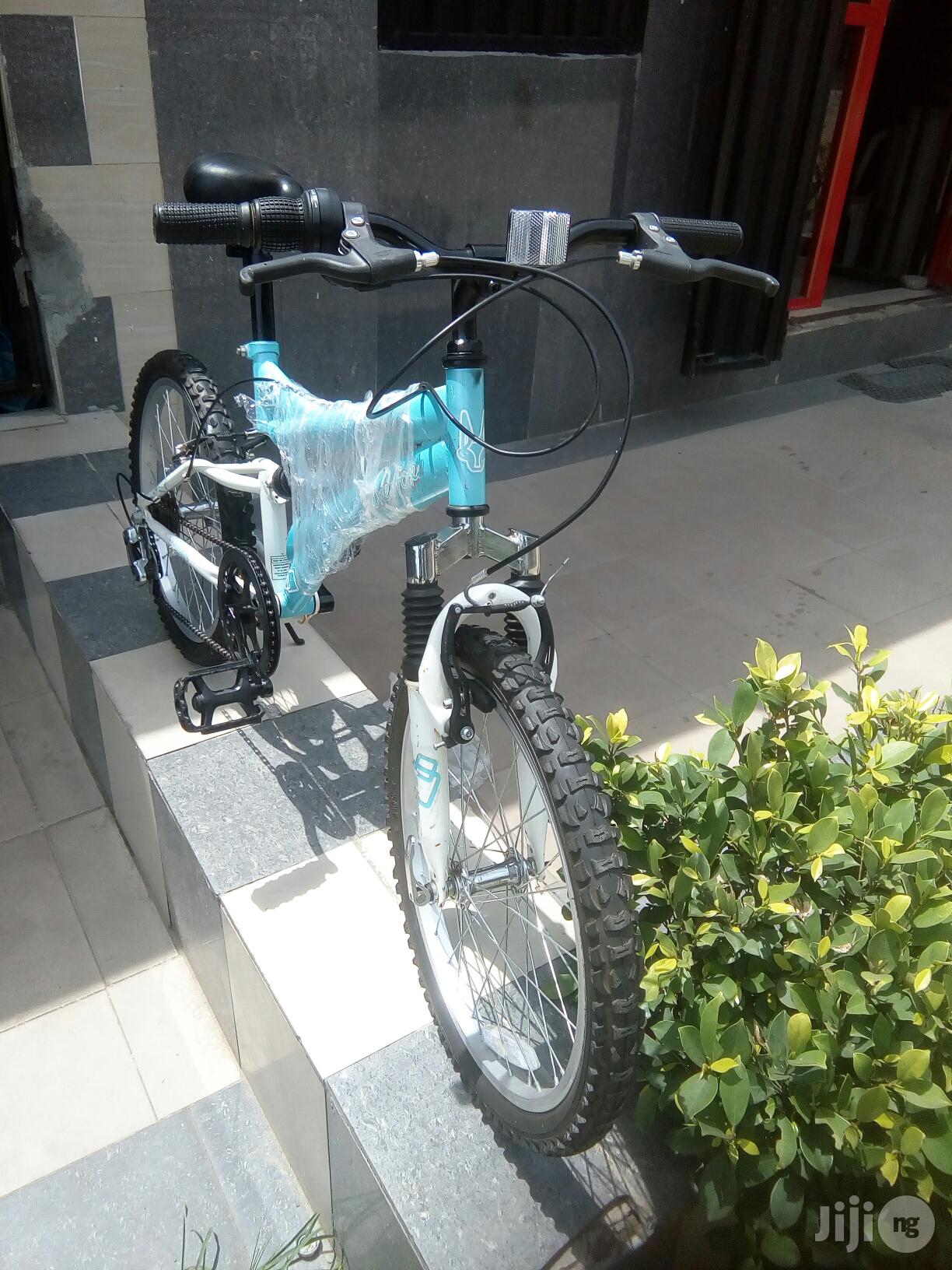 Silver Fox Children Bicycle Age 10 to 18