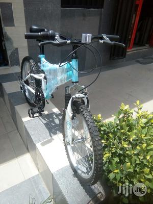 Silver Fox Children Bicycle Age 10 to 18