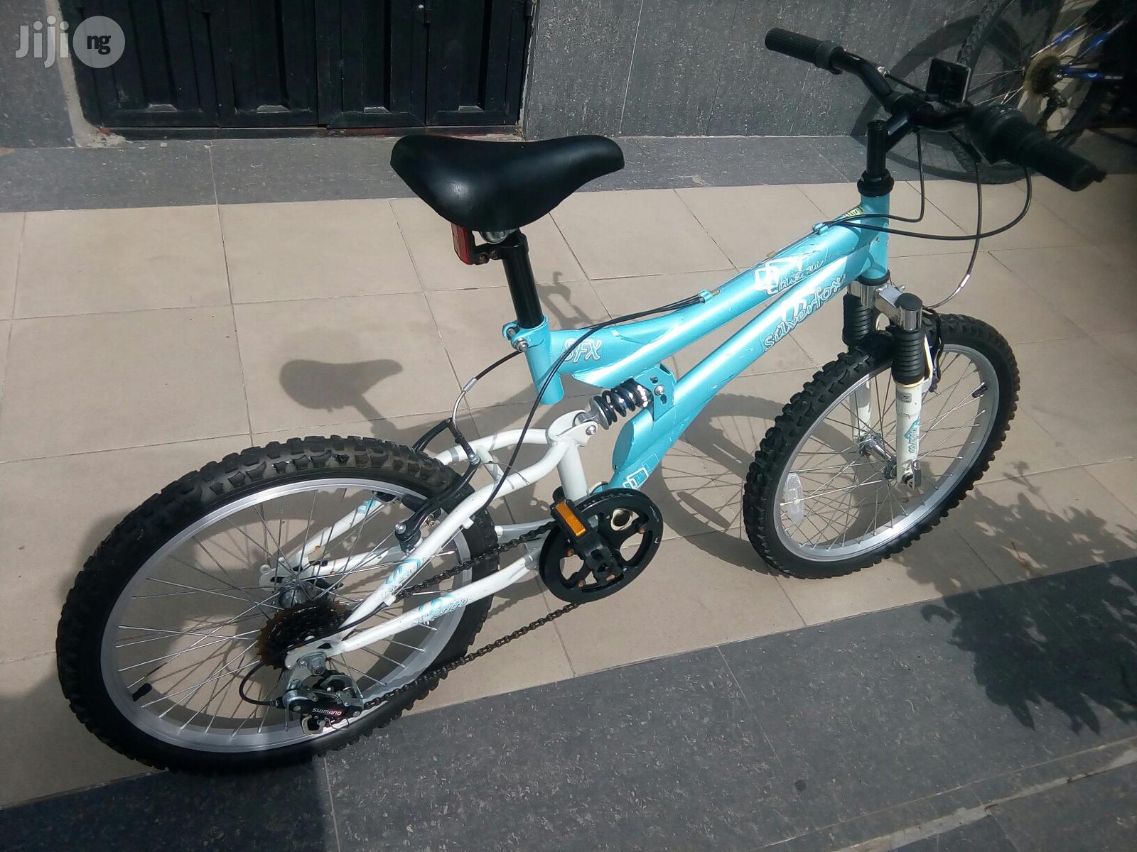 Children Bicycle Age 10 Above