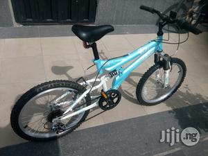 Children Bicycle Age 10 Above