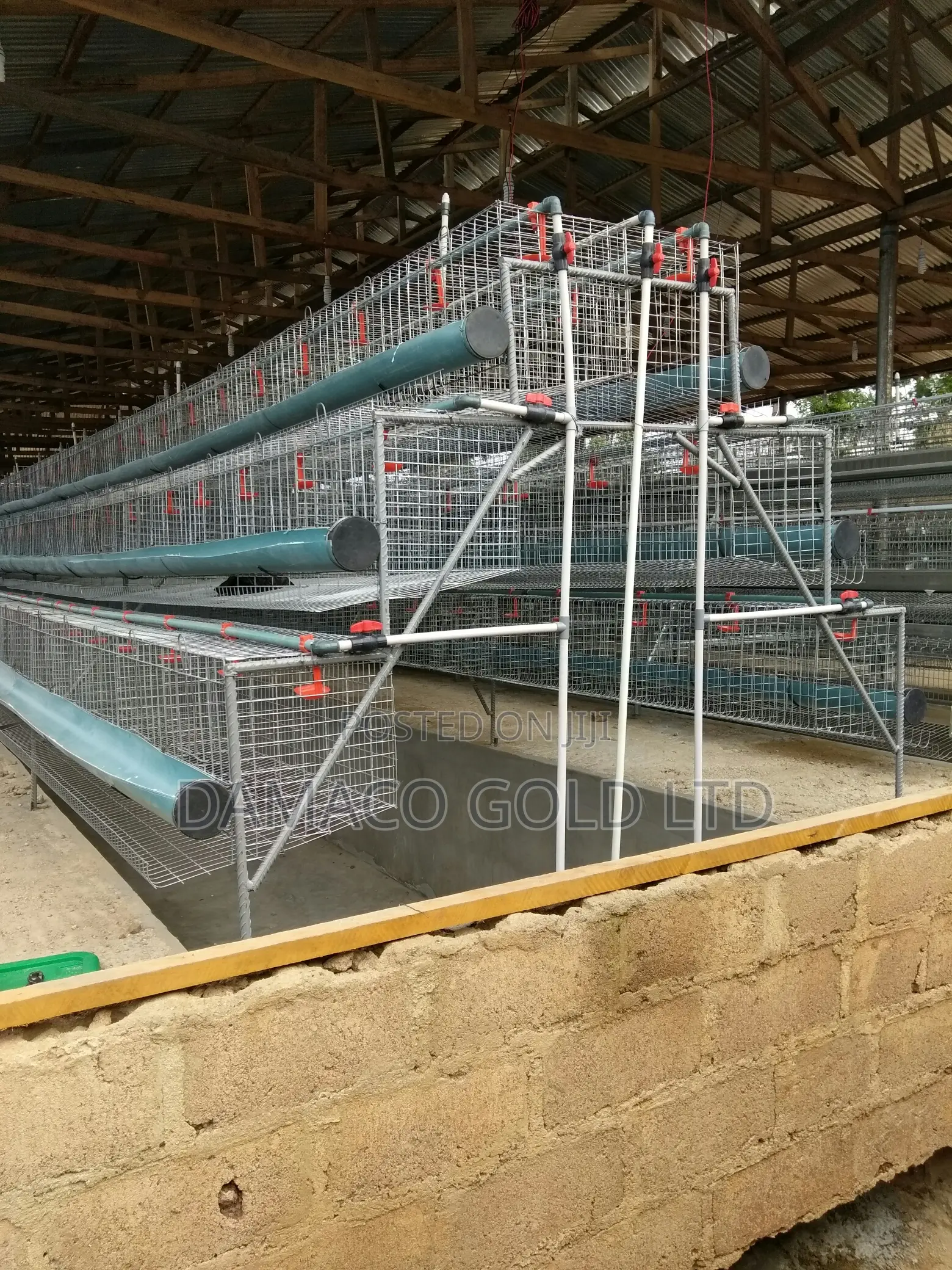 Quality Battery Cage