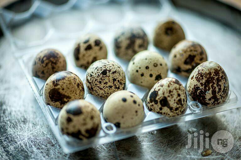 Quail Eggs