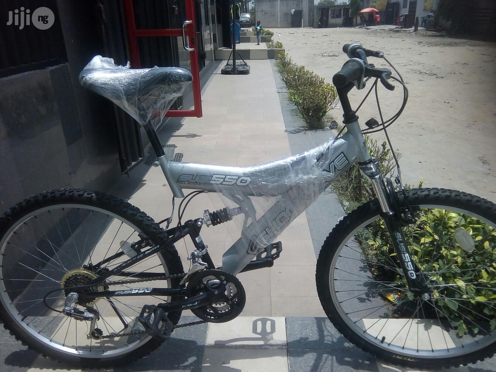 Double Suspension Sport Bicycle