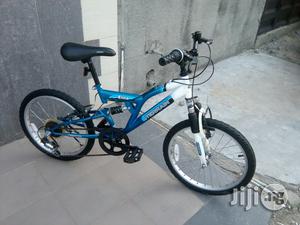 Etna Children Bicycle Age 10 Above