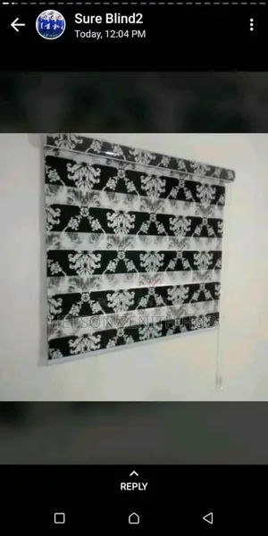 Beautiful Windows Blinds