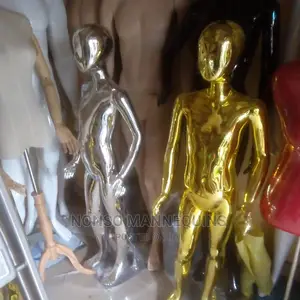Abstract Kid Gold Chrome Male and Female Display Mannqui