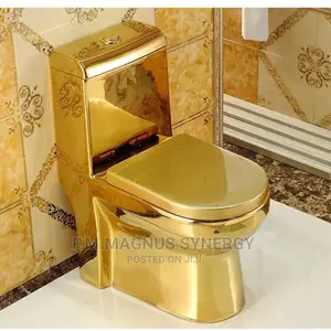 England Standard Master Water Closet WC Gold