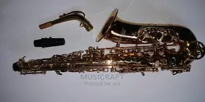 Premiel Alto Saxophones