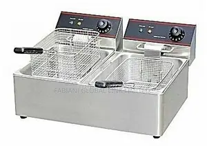 Stainless Electric Deep Fryer