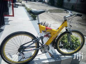 Adult Raleigh Sport Bicycle