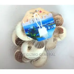 Aquarium Peeble And Fish Bowl Decor - Shells