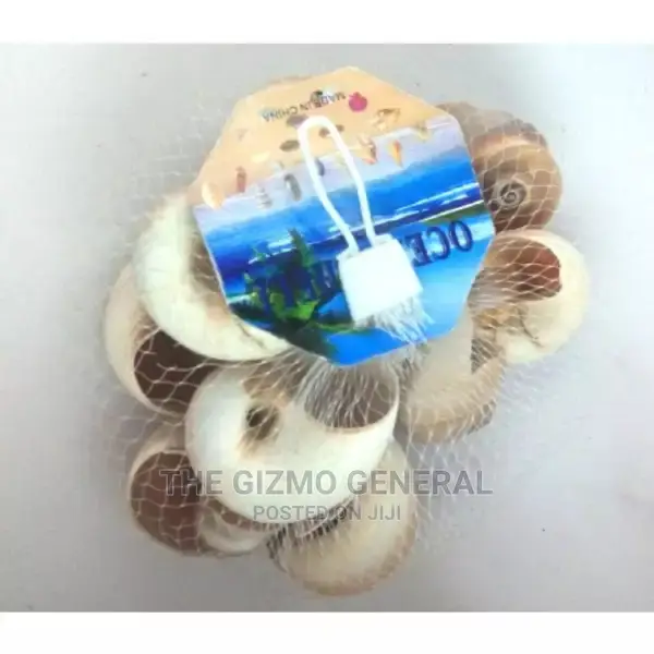Aquarium Peeble And Fish Bowl Decor - Shells