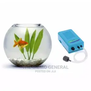 Fish Bowl Aquarium Starter Kit (Medium)