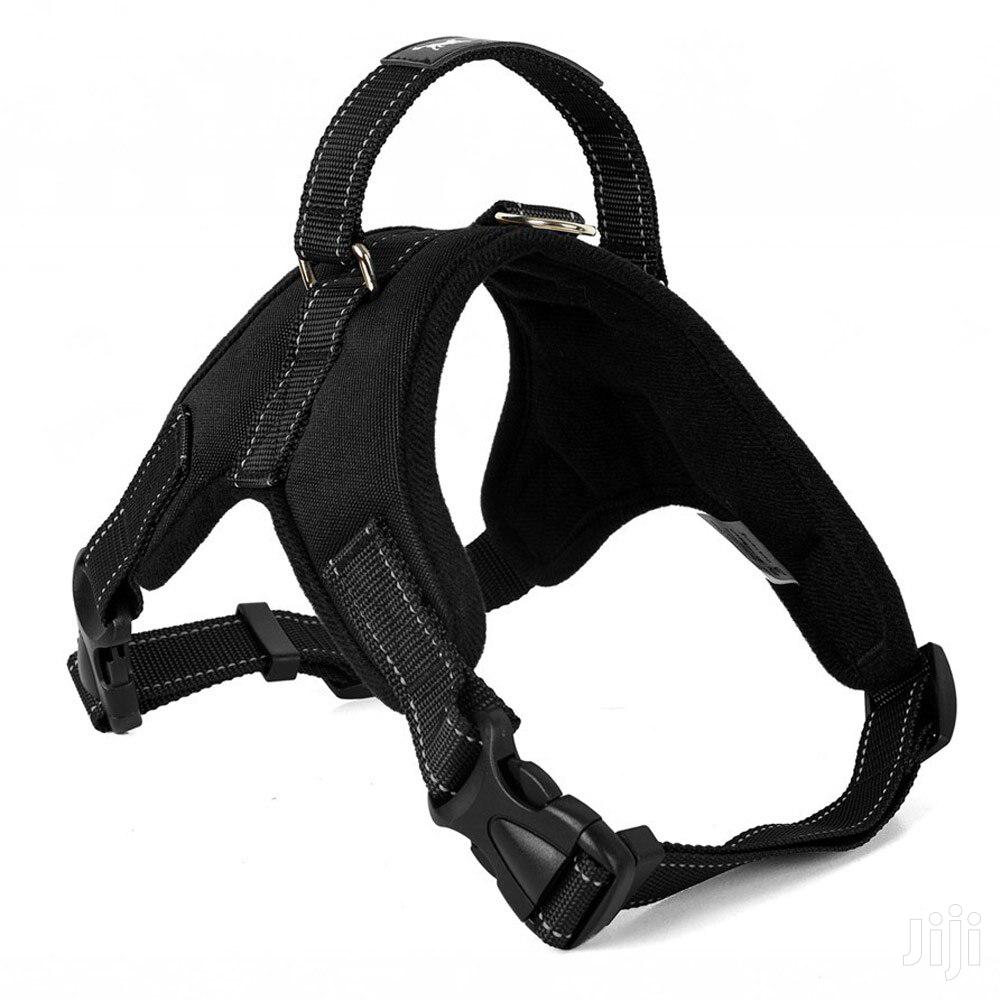 Dog Harness