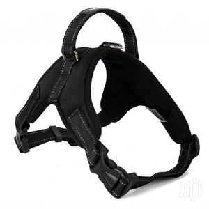 Dog Harness
