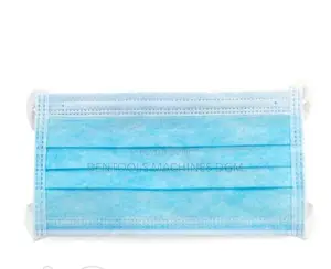 Facial Mask