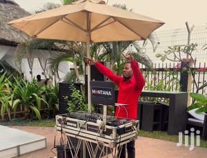 Pro Mobile DJ