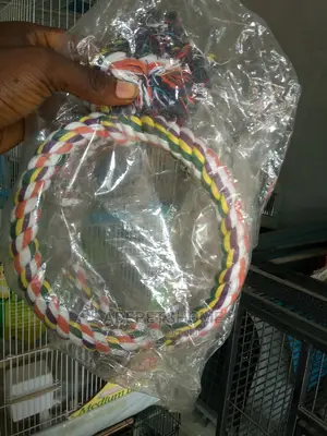 Parrots Toys for Sale