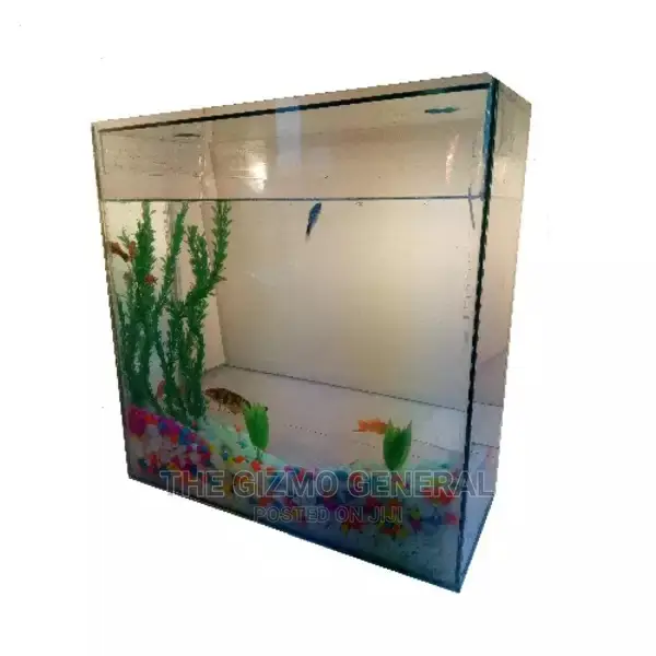 Portable Square Aquarium