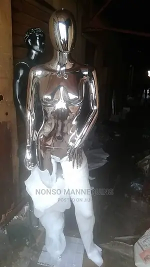 Silver Chrome Abstract Fmodule Display 2