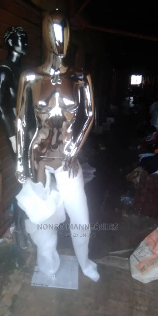 Silver Chrome Abstract Fmodule Display 2
