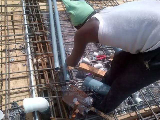 Professional Plumber