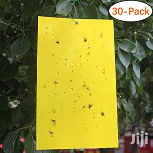 Traps For Insects In Stock