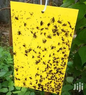 Traps For Insects In Stock