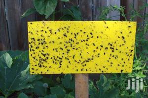 Sticky Traps For Insects