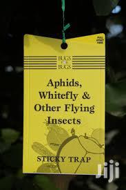 Sticky Traps For Insects