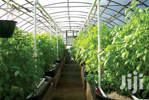 Transparent Polycarbonate Sheets Or Fibreglass