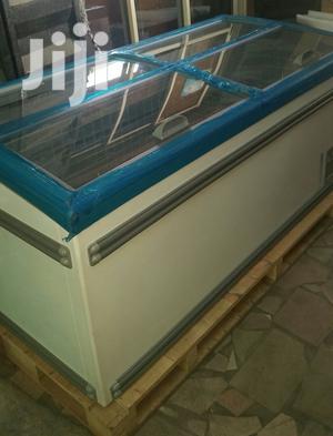 Industrial Display Freezer .