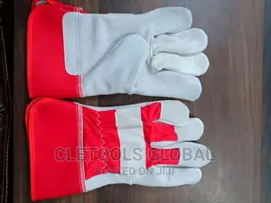 Combinetion Handglove
