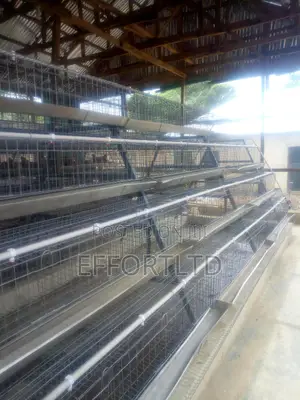 Battery Cage