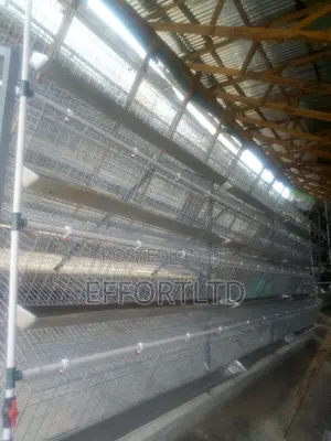Battery Cage