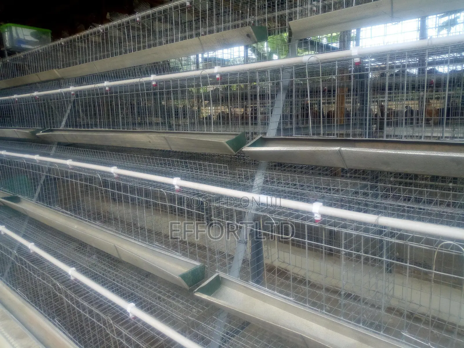 Battery Cage