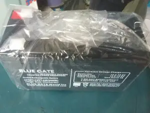 Blue Gate UPS Replacement Battery
