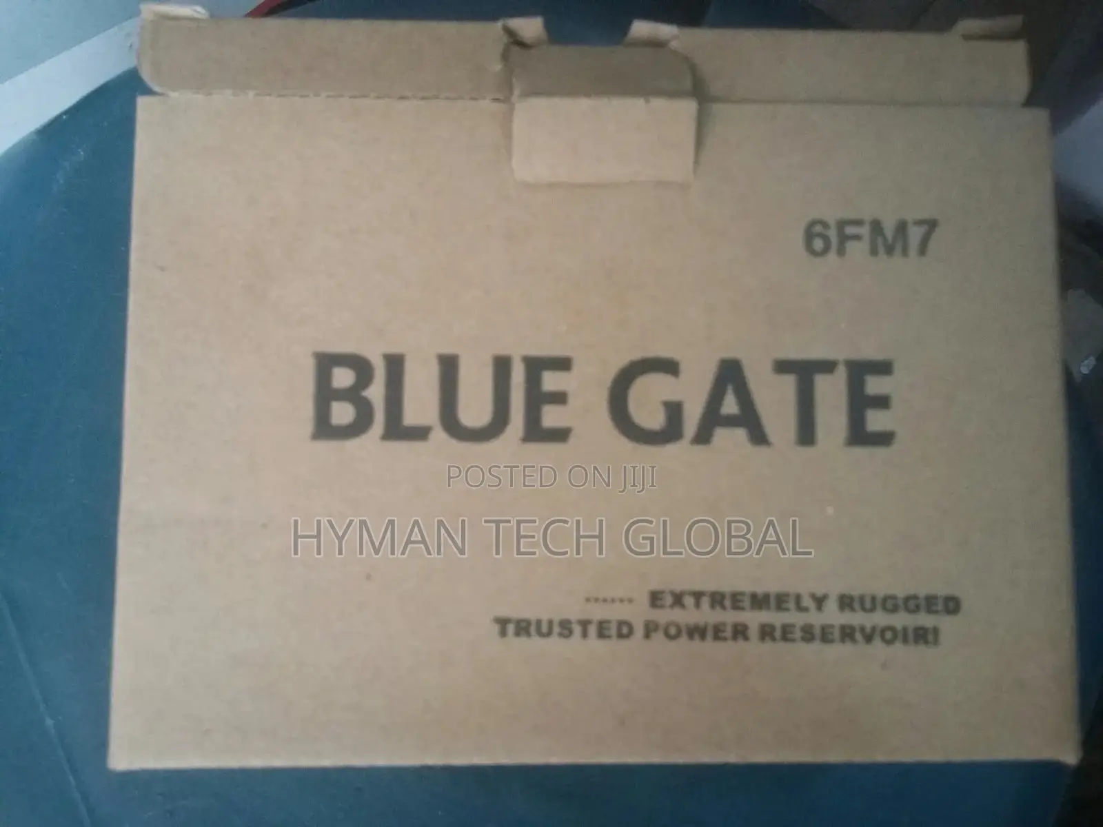 Blue Gate UPS Replacement Battery