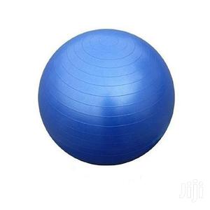 Anti-burst Fitness Exercise Stability And Yoga Ball (65cm)