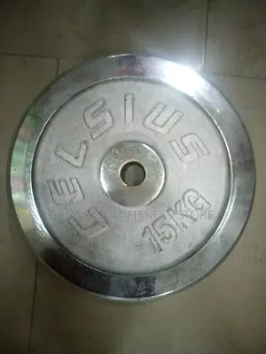15kg Weight Plate Silver 656